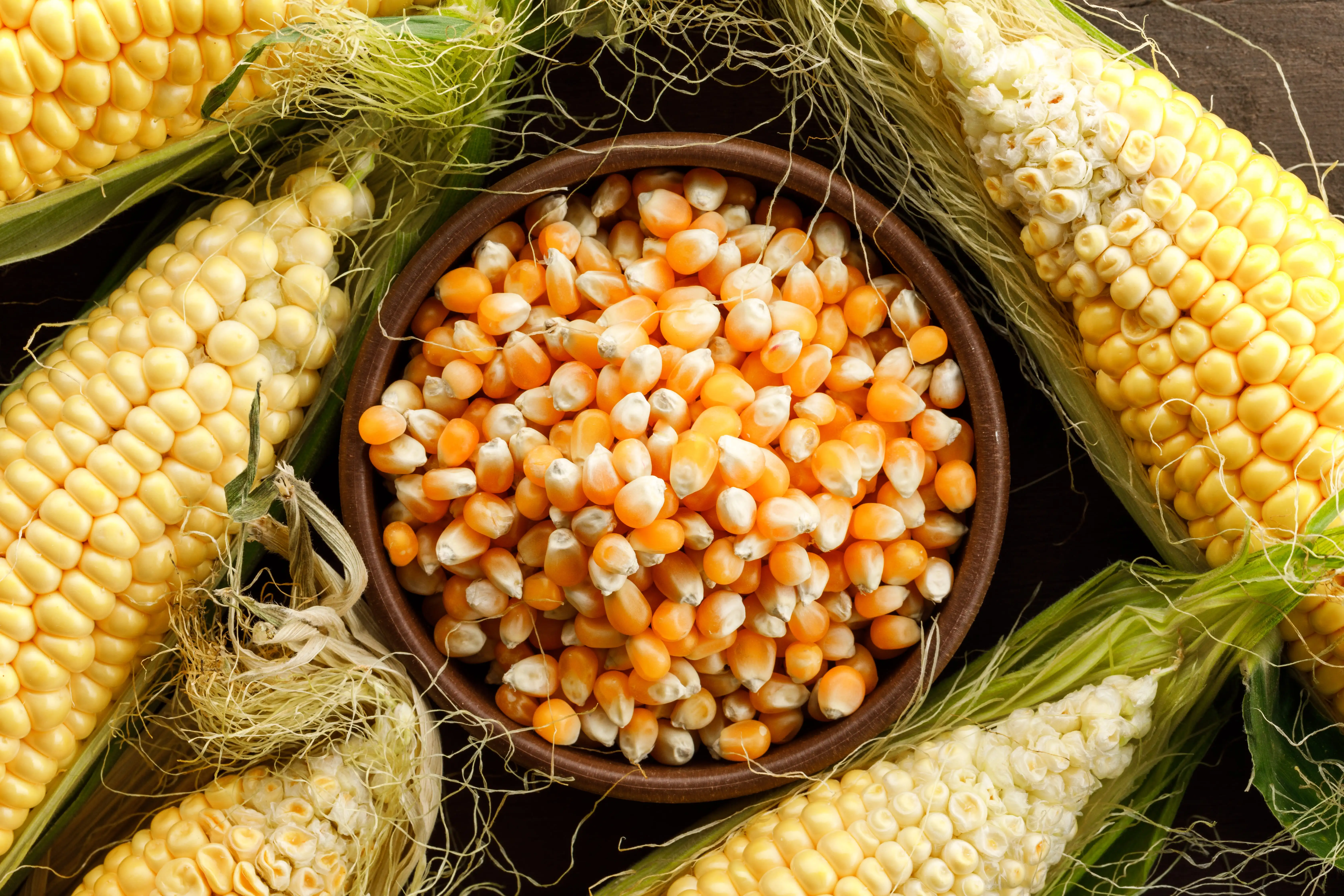 Maize