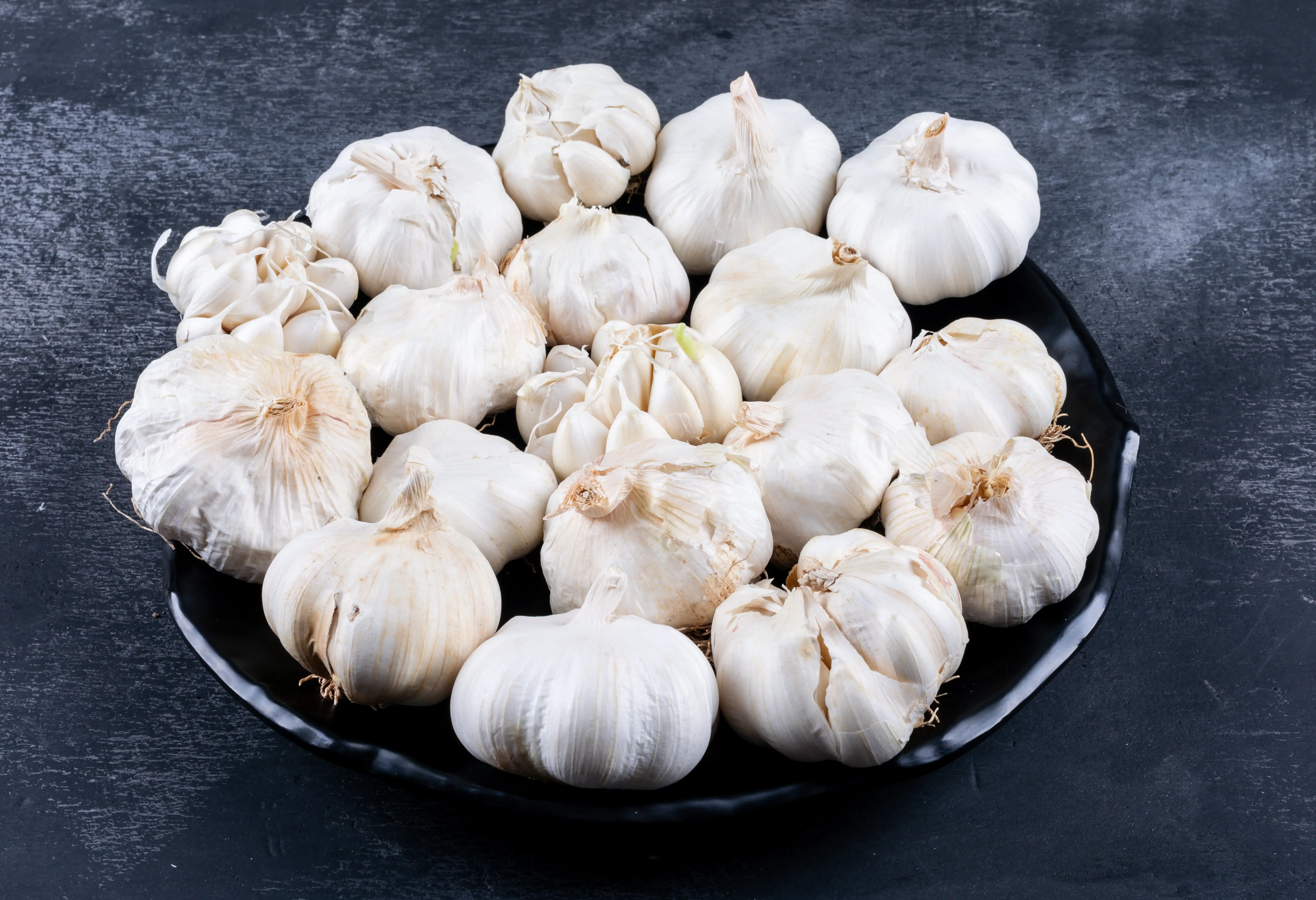 Garlic
